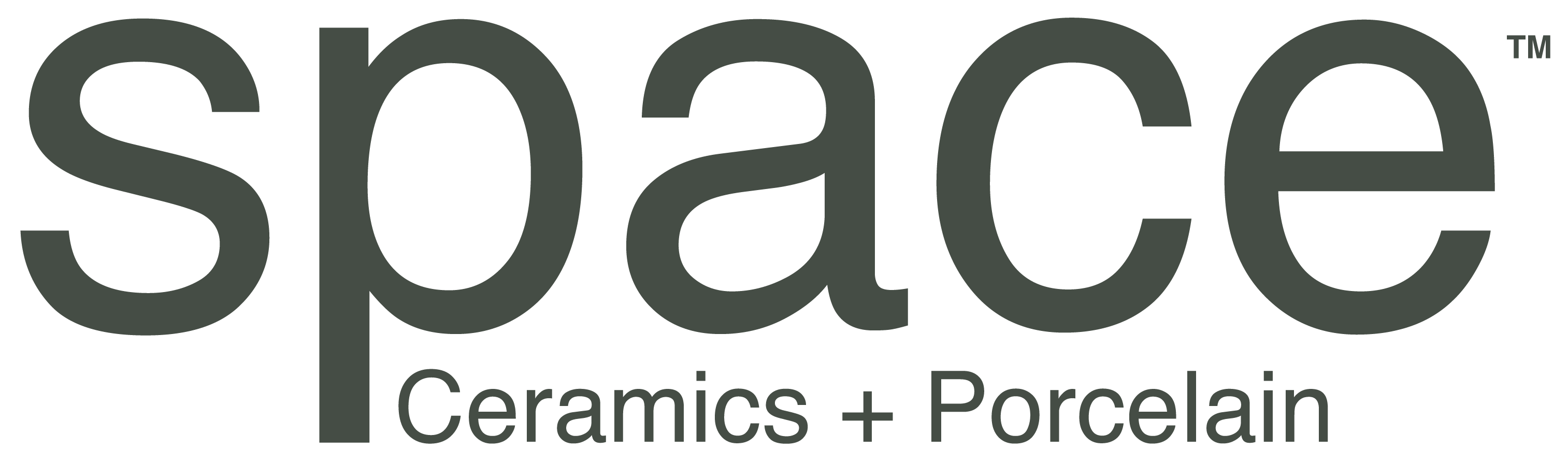 space_logo_color
