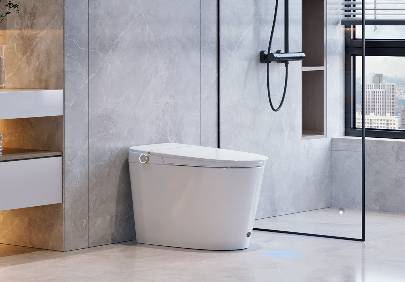 Decibel Smart Toilet