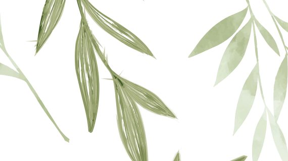 Capucino MVG1096 Picasso